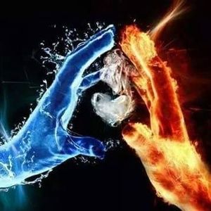 Meet your Posher, Lynne